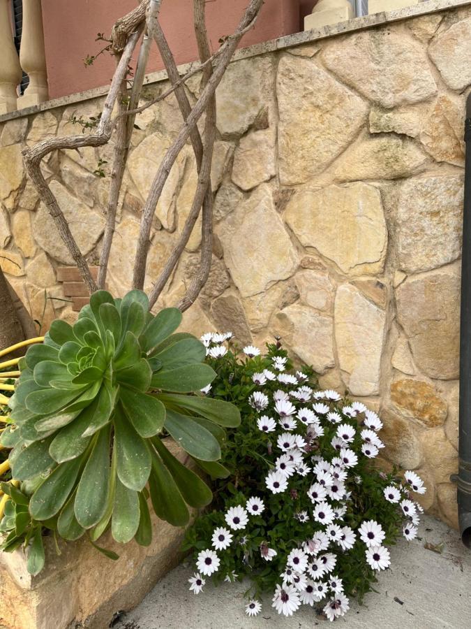 B&B Villa Regina Santa Domenica  Zewnętrze zdjęcie